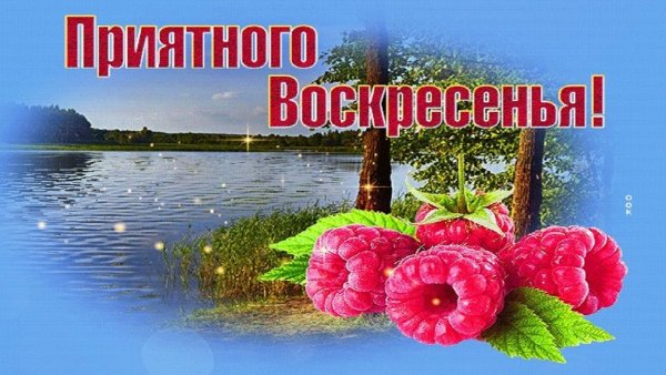 С добрым воскресным утром