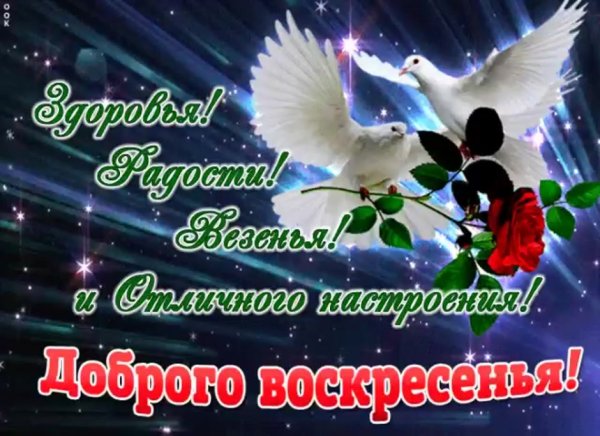 Прекрасного воскресного дня