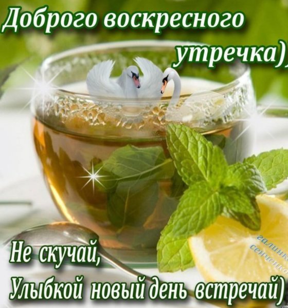 Доброго воскресного дня