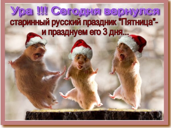 Ура сегодня пятница