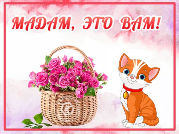 Открытки все