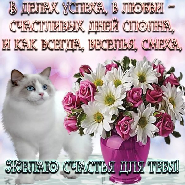 Красивые открытки на любой случай