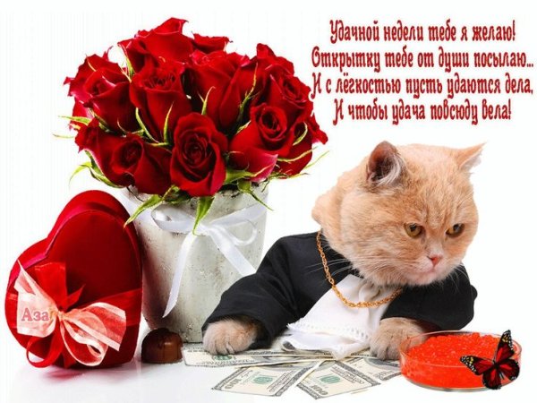 Открытки с пожеланиями