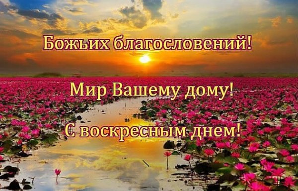 Христианские пожелания в Воскресный день