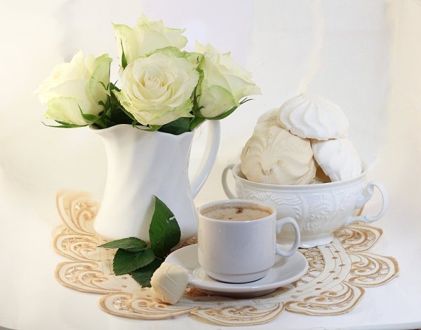 Красивые белые цветы