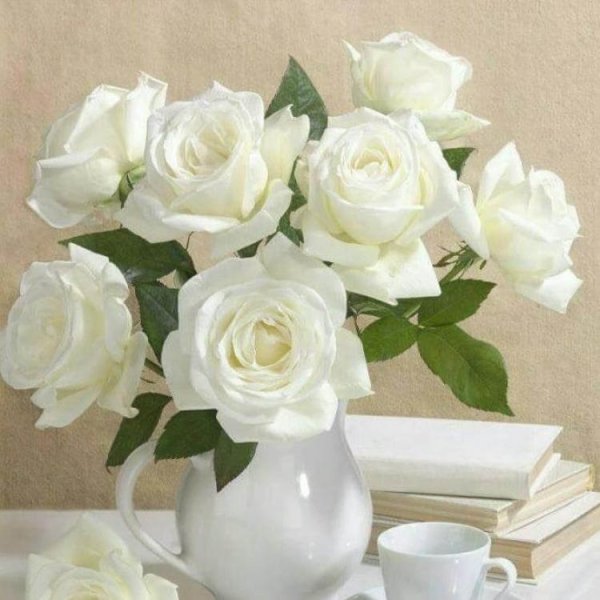 Натюрморт с белой розой