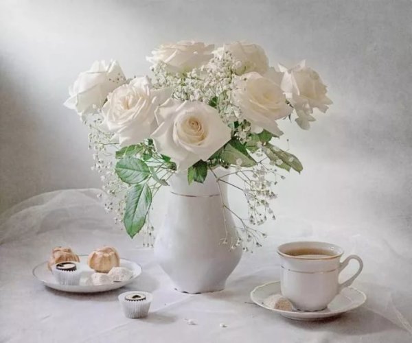 Дробрае утра сбелыби розами