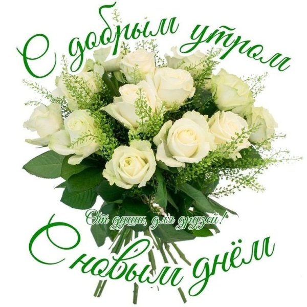 Нежное доброе утро девушке