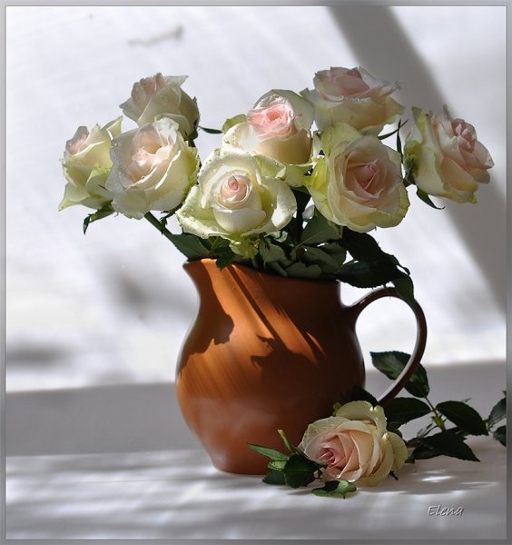 С добрым утром цветы красивые