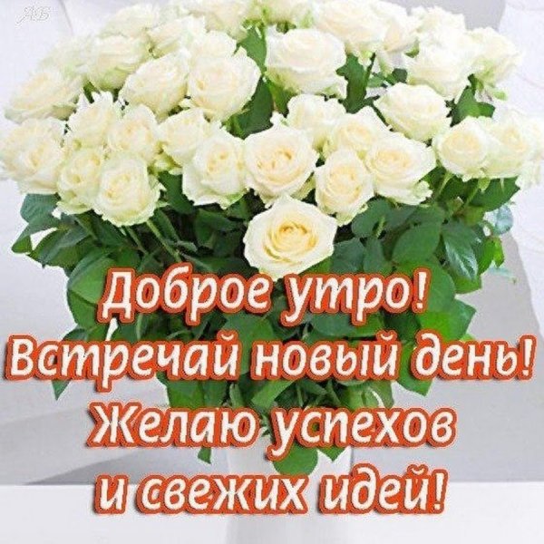 Белые розы с добрым утром