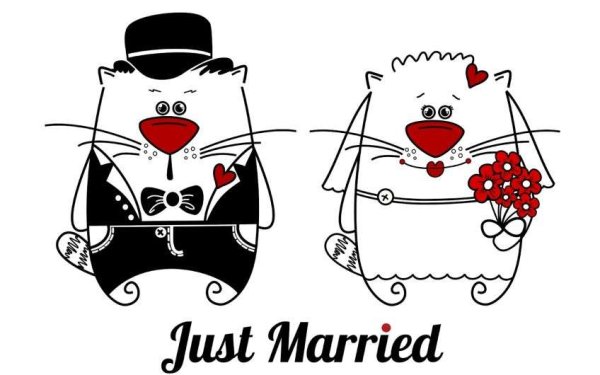 С днем свадьбы прикольные