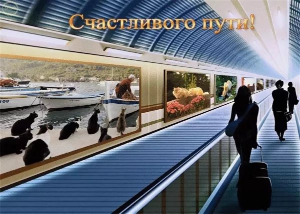 Счастливой дороги