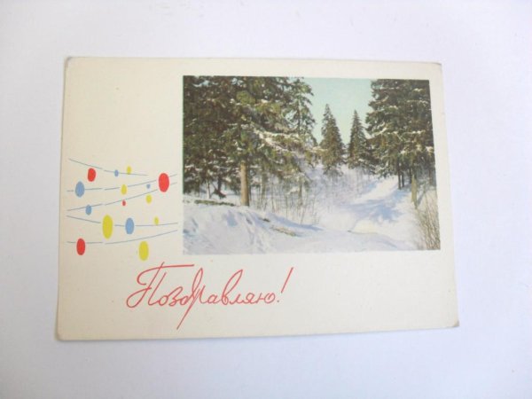 Собака художник