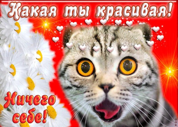 Приколы Кружка ничего