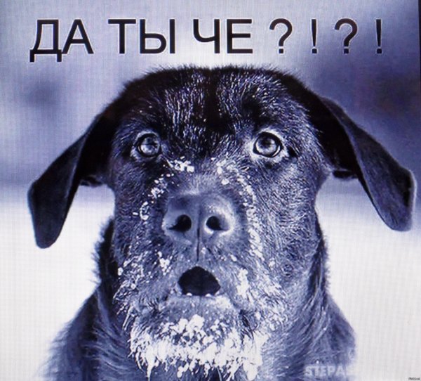 Непрошенные советы