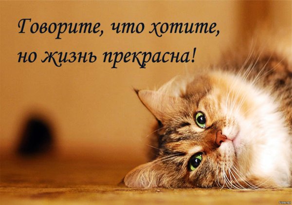 Близость к человеку определяется тем