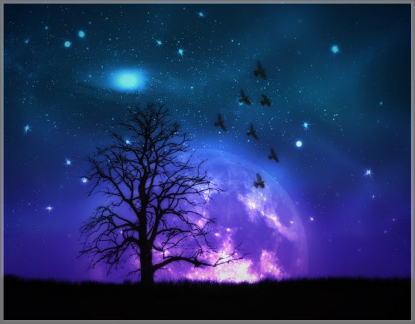 Сладких снов