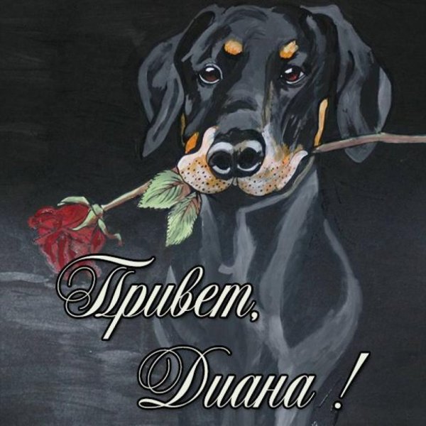 Поздравительные открытки с собаками