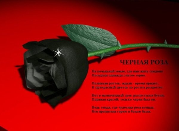 С днём рождения черные розы