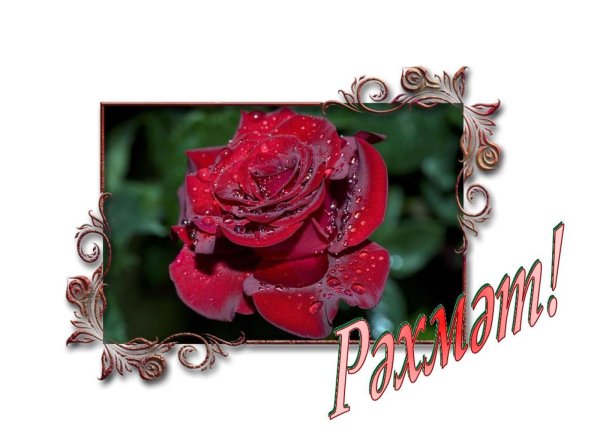 Стикеры для ватсап рәхмәт