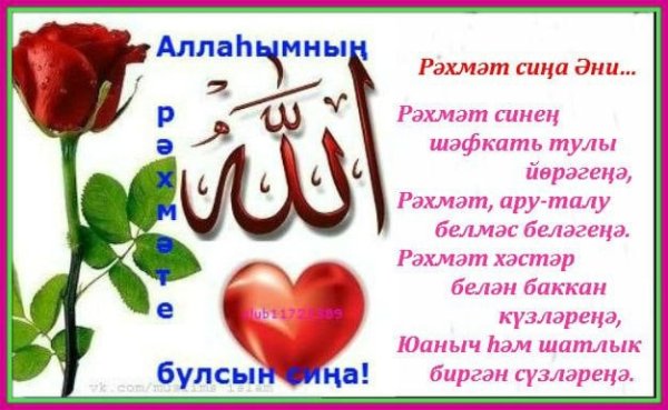 РАХМАТ дустим