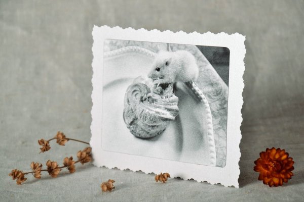 Открытка с пустым местом