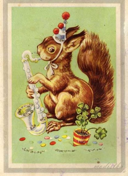 Открытки с белочкой