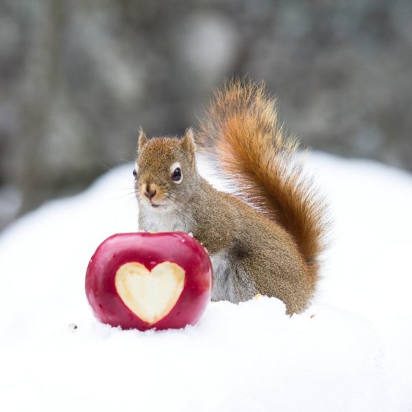 Владимира Зарубина открытки Зарубина