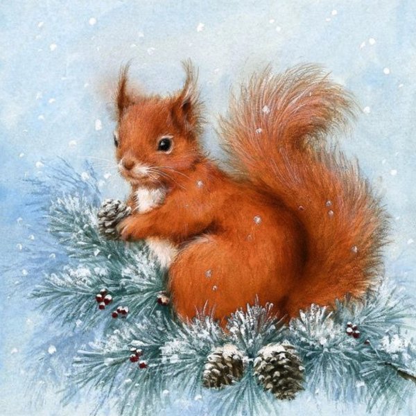 Иллюстрации милые белки