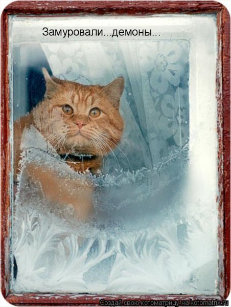 Шутки про зиму и весну