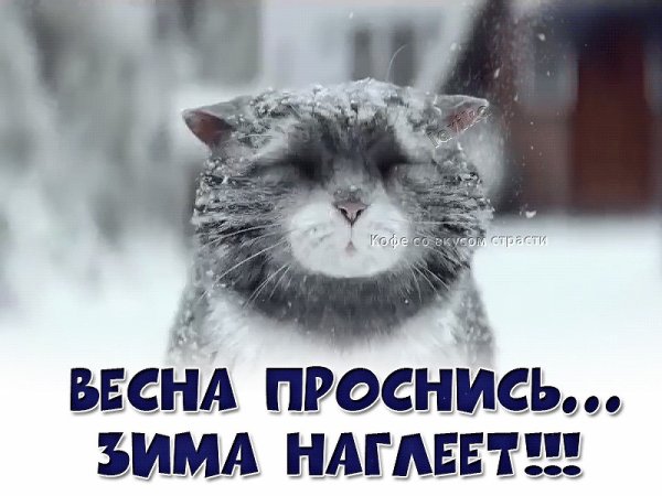 Открытки зимние прикольные