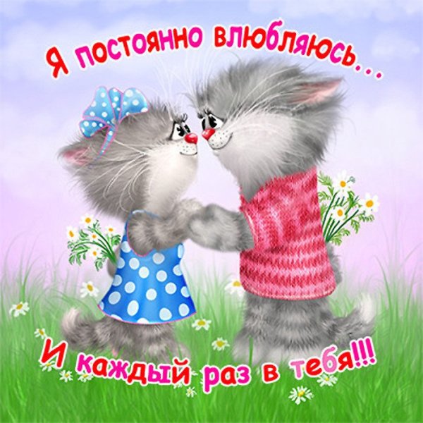 Прикольные открытки любимому