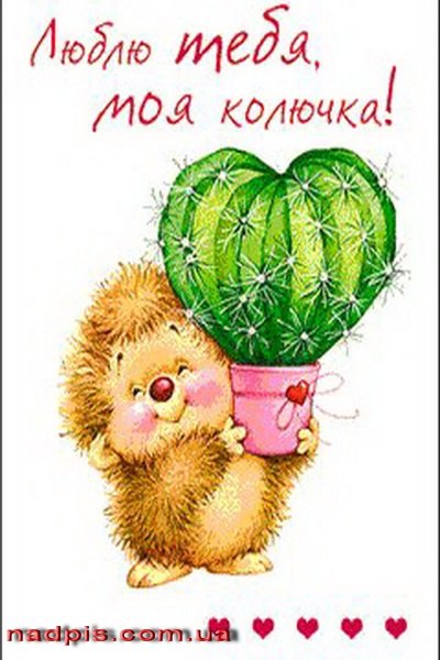 Прикольные открытки любимому