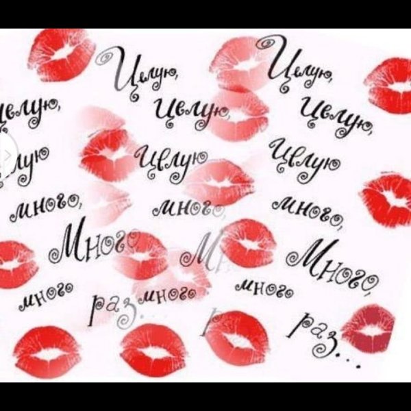 Открытка целую