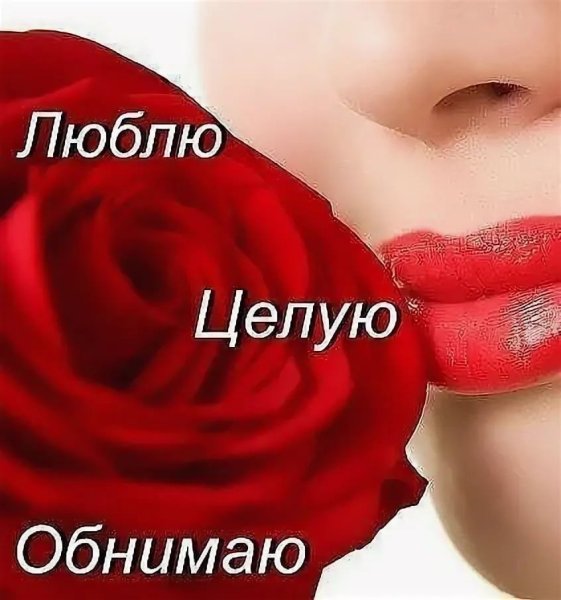 Люблю целую
