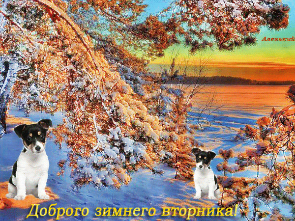 Добрый зимнпий ДЕНЬДЕНЬ