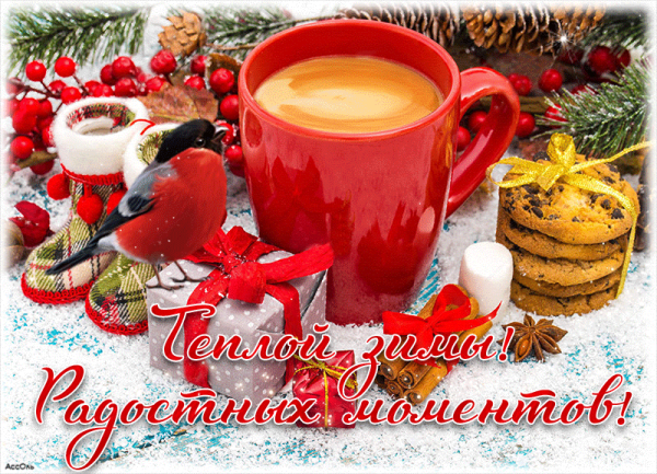 Доброго зимнего дня с белками