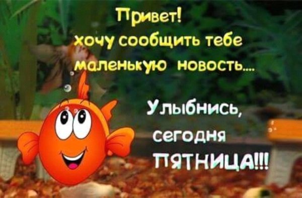Сегодня пятница