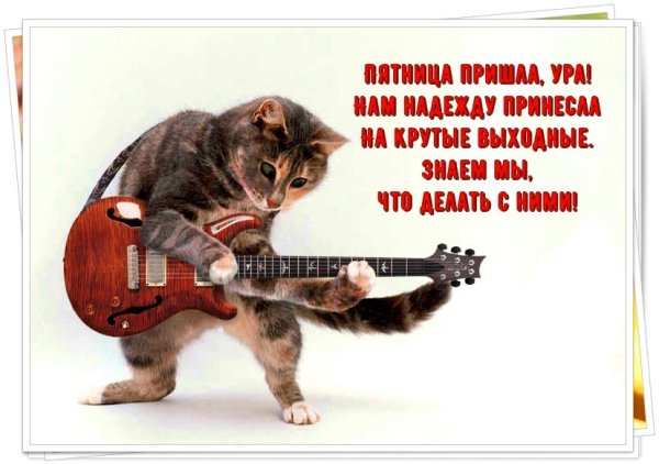 С пятницей прикольные пожелания