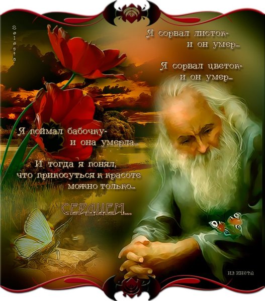 Умные высказывания