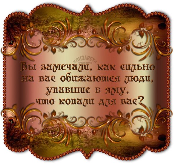 Мудрость цитаты