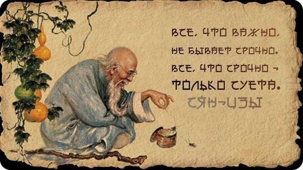 Радость жизни цитаты