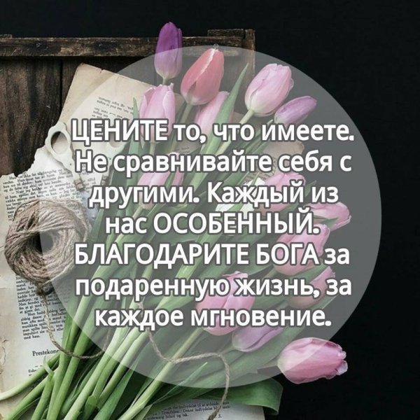 Красивые Мудрые стихи о жизни