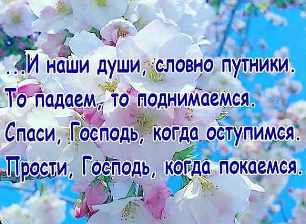 Спаси нас Господь