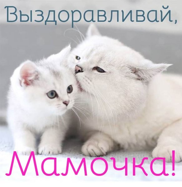 Выздоравливай мамочка