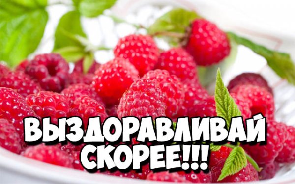 Скорейшего выздоровления