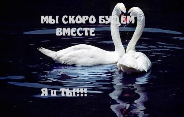 Скоро мы будем вместе