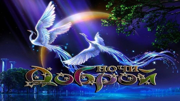 Доброй ночи