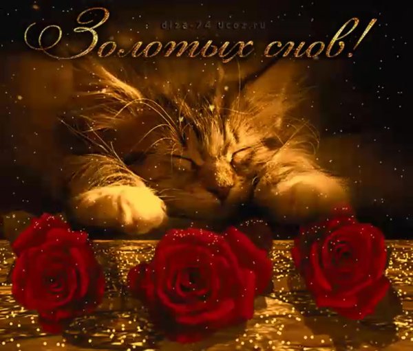 Спокойной ночи гиф