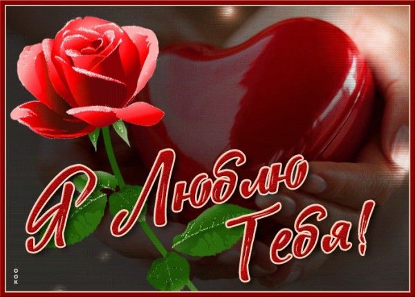 Люблю тебя девушке